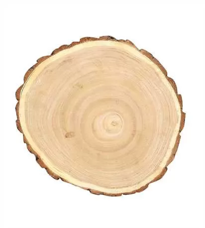 8 3/4" Round Paulownia Wood Slice