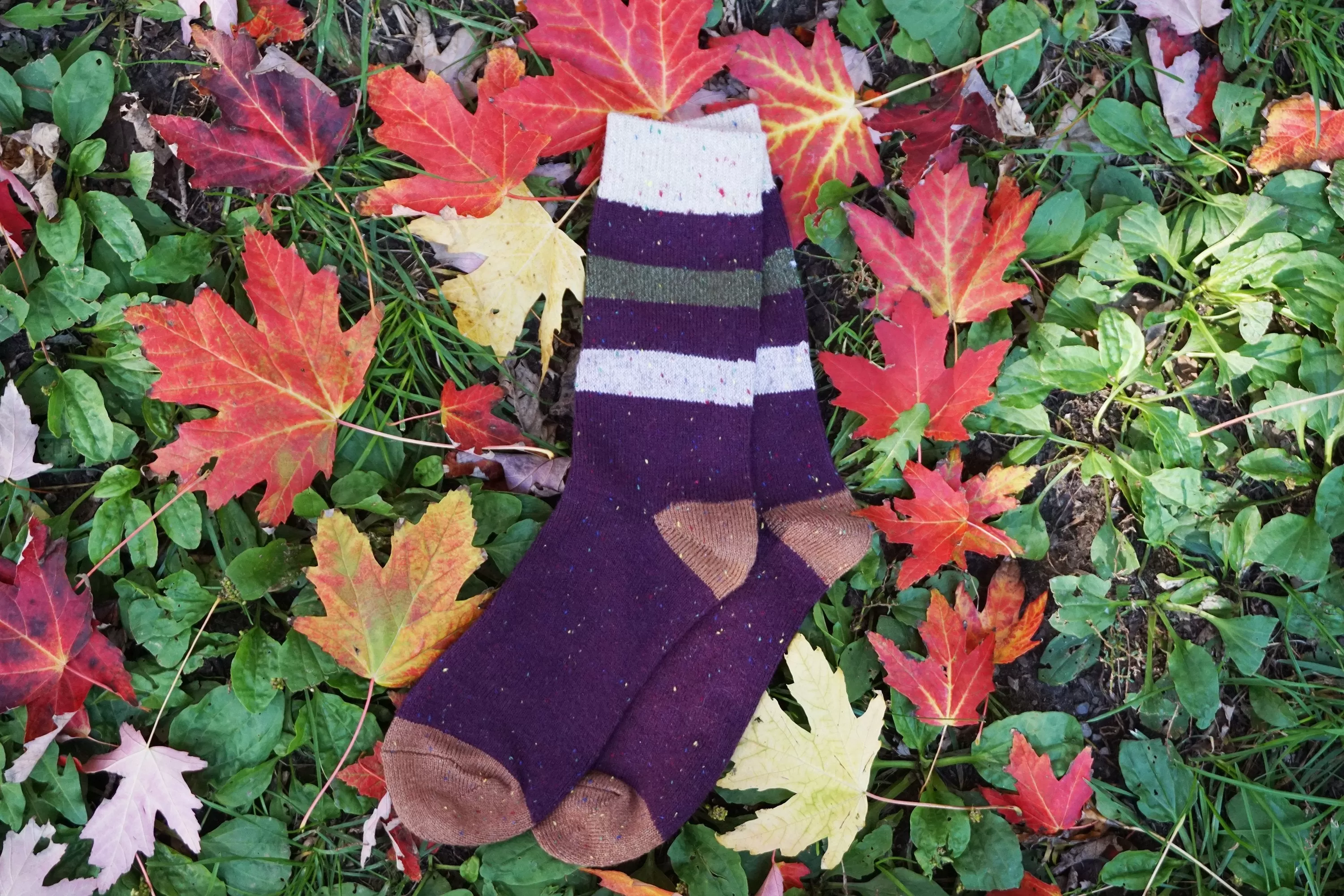 Best Seller  | Wool Socks | Purple Stripes