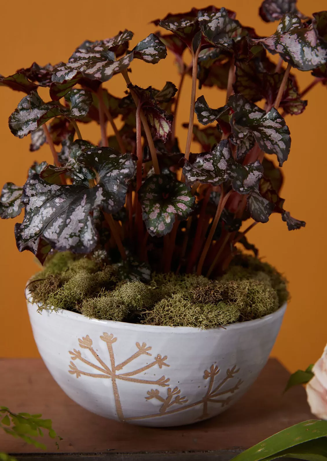 Dandelion Ceramic Bowl