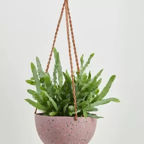 Dome Hanging Planter - Musk Terrazzo