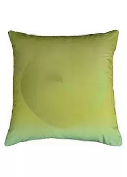 Green Pigeon Velvet Cushion