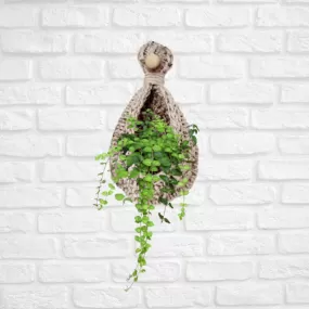 Jute Hanging Wall Planter Cum Basket