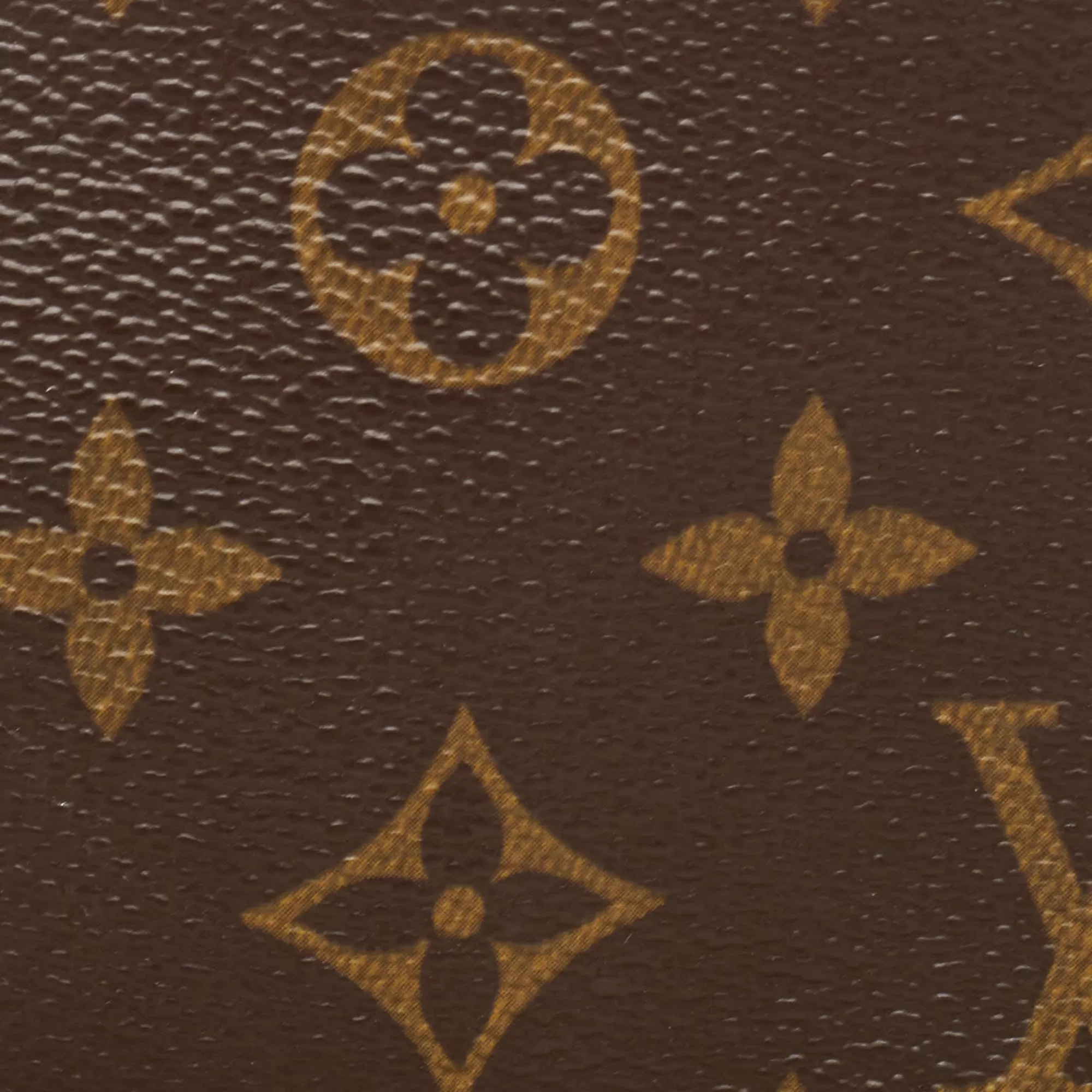 Louis Vuitton Monogram Canvas Mini Pochette Accessoires