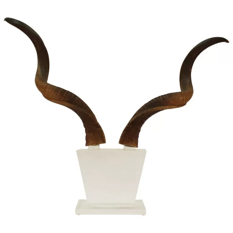 Mid-Century Modern Antelope Antlers on Lucite Stand