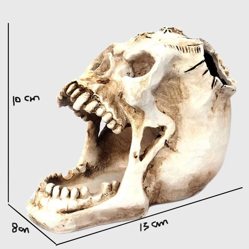 Skull of Terror Decorative Holder