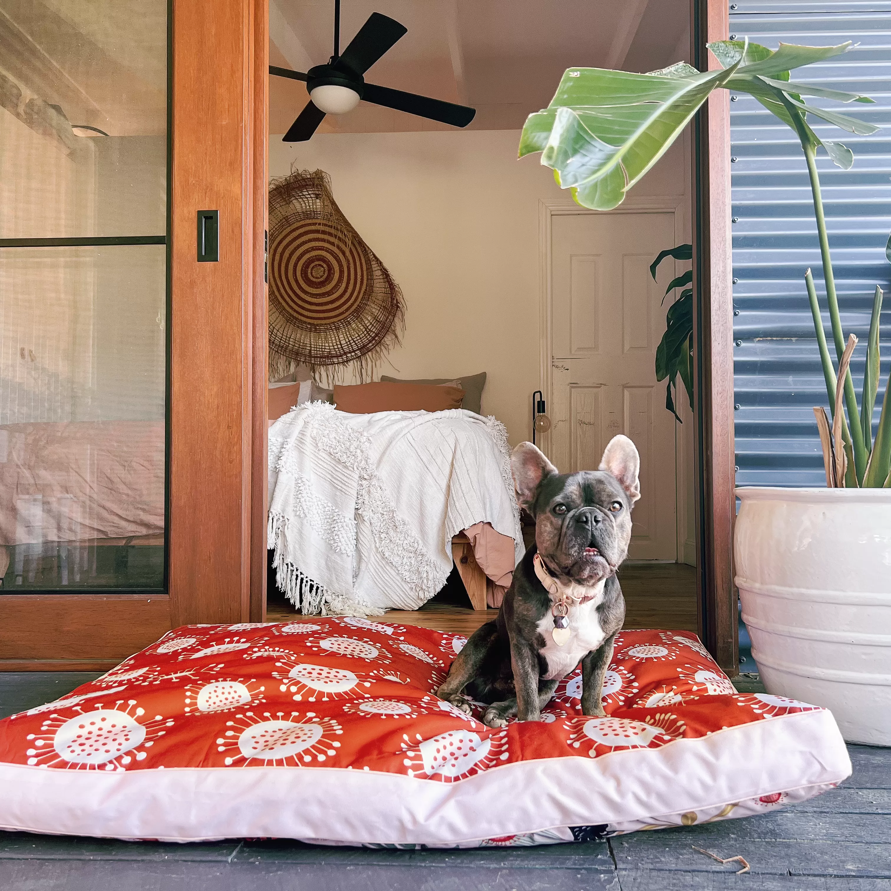 Sunset Cockatoo Water-Resistant - XXL Dog Bed